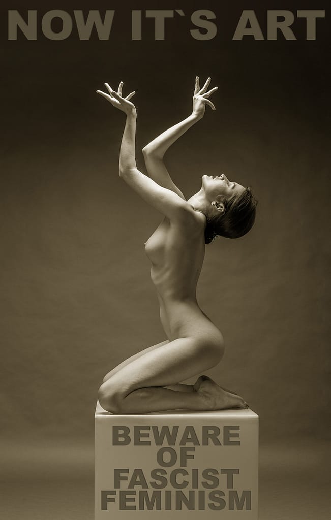 Now It's Art - Beware Of Fascist Feminism
