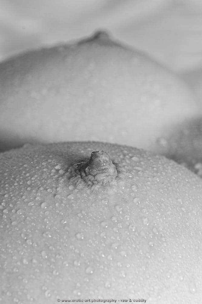 Savanna A. - Bodyparts - Image 3