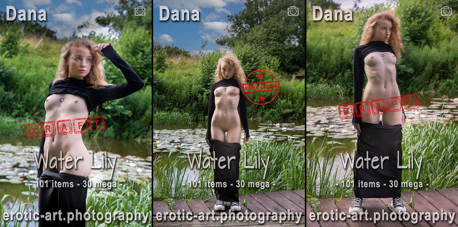 Dana - Waterlily Dana - Waterlily - Drafts